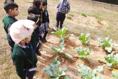 Kitchen Garden Tour