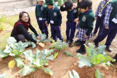 kitchen-garden-tour-pic-five