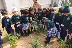 kitchen-garden-tour-pic-four