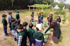 kitchen-garden-tour-pic-six