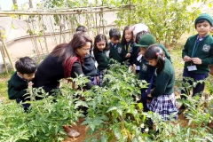 kitchen-garden-tour-pic-three