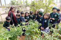 kitchen-garden-tour-pic-two