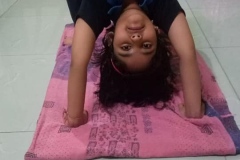 Online-Yoga-Day-20-21-4