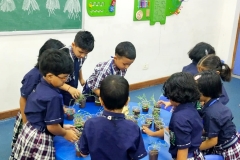 Plantation Week 2025