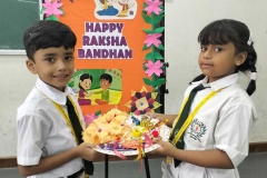 raksha-bandhan-celebrate-pic-twenty-two