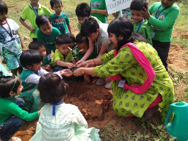 Plant a Sapling Activity